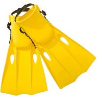 Ласты Intex 55936 фото №1 — интернет-магазин Desire.md