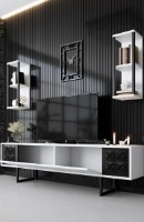 Гостиная Trendy Black Line White/Black GTR006441 фото №2 — интернет-магазин Desire.md