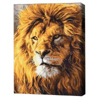 Картина по номерам Brushme Взгляд гордости 40х50cm (BS52292)