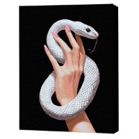 Картина по номерам Brushme Грация змеи 40x50cm (BSB0049FC)