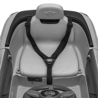 Mașinuța electrica Jiajia Mini Cooper White (JE1688) imaginea #5 — magazin online Desire.md