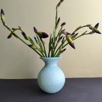 Vaza San Miguel Paradise 24.5cm (4828DS600) imaginea #2 — magazin online Desire.md