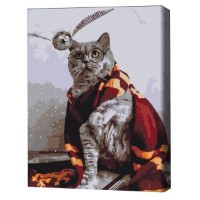 Tablou pe numere Brushme Котик ловец снитча 40х50cm (BS36543FC)