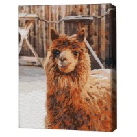 Tablou pe numere Brushme Лама на ферме 30x40cm (RBS52266FC)