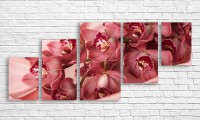 Pictură ArtDesign Red Orchid 168х76cm (C-10040)