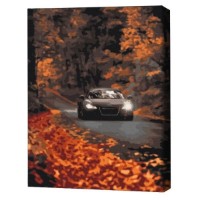 Tablou pe numere Brushme Осенняя дорога 40х50cm (BS53291FC)