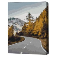 Tablou pe numere Brushme Пейзажная дорога 40х50cm (BS52373FC)