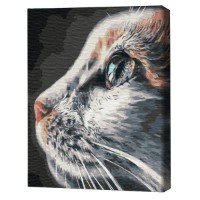Tablou pe numere Brushme Профиль кошки 30x40cm (RBS51792FC)