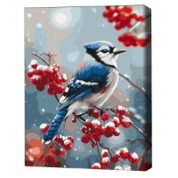 Tablou pe numere Brushme Птичка на морозной ветке 40x50cm (BS54498FC)