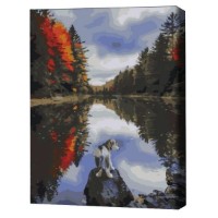 Tablou pe numere Brushme Собачка у озера 40x50cm (BS51425)