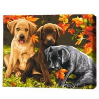 Tablou pe numere Brushme Три щенка 30x40cm (RBS6530FC)