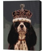 Pictura cu diamante după numere Brushme Король Чарльз 40x50cm (4840781364016)