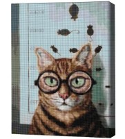 Pictura cu diamante după numere Brushme Проверка зрения котика 40x50cm (4840781364016)