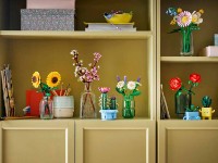 Set de construcție Lego Botanicals: Daisies (11508) imaginea #7 — magazin online Desire.md