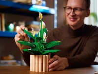 Set de construcție Lego Botanicals: Peace Lily (11504) imaginea #2 — magazin online Desire.md