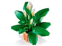 Set de construcție Lego Botanicals: Peace Lily (11504) imaginea #3 — magazin online Desire.md