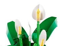 Set de construcție Lego Botanicals: Peace Lily (11504) imaginea #4 — magazin online Desire.md