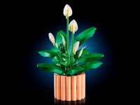 Set de construcție Lego Botanicals: Peace Lily (11504) imaginea #5 — magazin online Desire.md