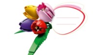 Set de construcție Lego Botanicals: Tulip Bouquet (11501) imaginea #2 — magazin online Desire.md