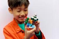 Set de construcție Lego Minecraft: Steve's Taiga Adventure (21583) imaginea #2 — magazin online Desire.md