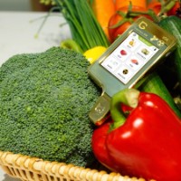 Нитрат-тестер Greentest Eco 6 Golden фото №2 — интернет-магазин Desire.md