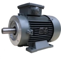 Motor electric GAMAK AGM 200 L 4a (G3001503)