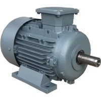 Motor electric GAMAK AGMEL 100 L 8B (G117503EL) imaginea #2 — magazin online Desire.md