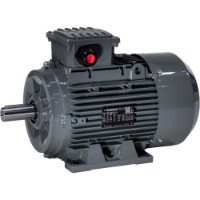Motor electric GAMAK AGMEL 112 M 8a (G157503EL)