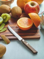 Нож для стейка Tramontina Polywood 12.5cm (21100/495) фото №4 — интернет-магазин Desire.md