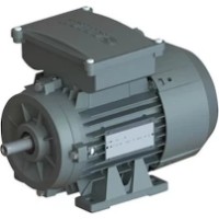Motor electric GAMAK MSD80 M (G113001)