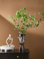 Vaza Formen Maxıma-044 Smoky Face imaginea #2 — magazin online Desire.md