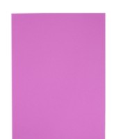 Material pentru artizanat PRC A4-6404-MD 10pcs Light Violet