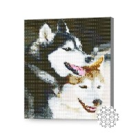 Алмазная картина по номерам Art Gallery Premium Two Huskies (GB75691)