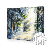 Mozaic cu diamante Art Gallery Premium Sunlight In The Winter Forest (GA80247)