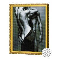 Алмазная мозаика Art Gallery Premium Passionate Love (GA83208)