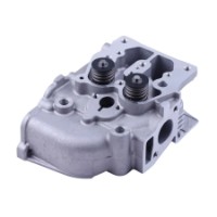 Ansamblu cap bloc TATA VM0054-186F