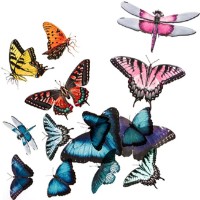 Autocolante DPCraft Butterflies (DPNK-212)