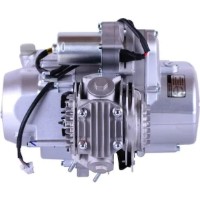 Motor pe benzina TATA 110CC imaginea #2 — magazin online Desire.md