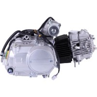 Motor pe benzina TATA 110CC imaginea #3 — magazin online Desire.md