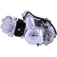 Motor pe benzina TATA 110CC