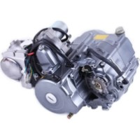Motor pe benzina TATA 125CC