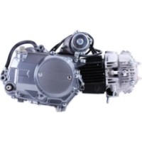 Motor pe benzina TATA 125CC imaginea #3 — magazin online Desire.md