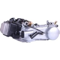 Motor pe benzina TATA 150СС