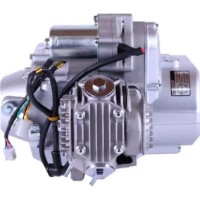 Motor pe benzina TATA 72CC imaginea #2 — magazin online Desire.md