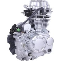 Motor pe benzina TATA CG250 imaginea #2 — magazin online Desire.md