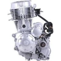 Motor pe benzina TATA CG250 imaginea #3 — magazin online Desire.md