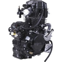 Motor pe benzina TATA CG300-2 imaginea #2 — magazin online Desire.md