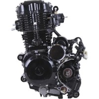 Motor pe benzina TATA CG300-2 imaginea #3 — magazin online Desire.md