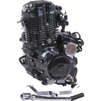 Motor pe benzina TATA CG300-2