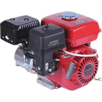 Motor pe benzina TATA DV-84-170F